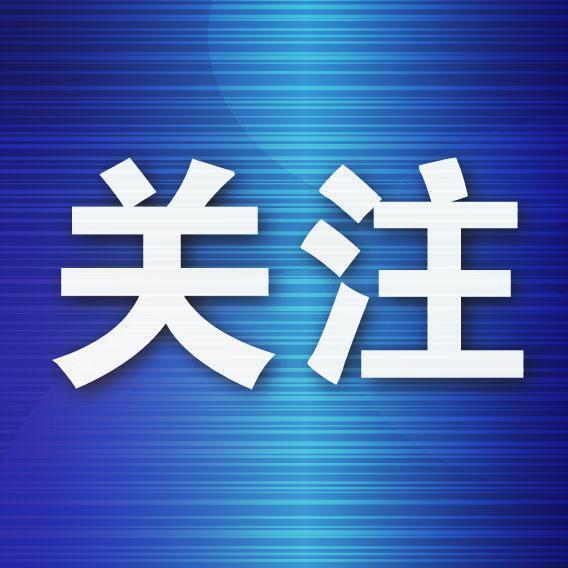 喊声与篮球, 每日两场
