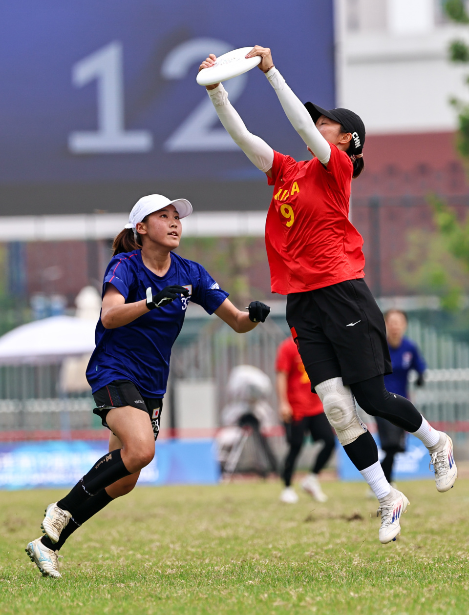 zpGfs, jCLIV zpGfs, jCLIV