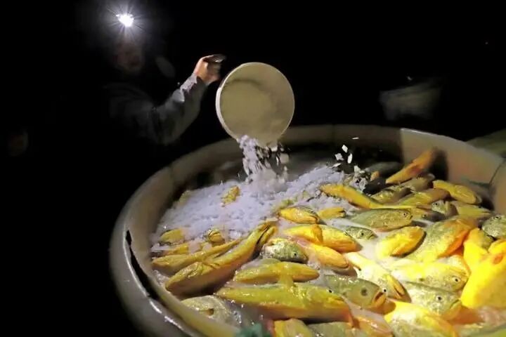 冒险岛水世, 咋回事 冒险岛水世, 咋回事